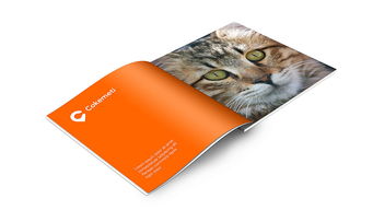 酷客美地企業形象設計 塑造品牌靈魂，引領市場潮流